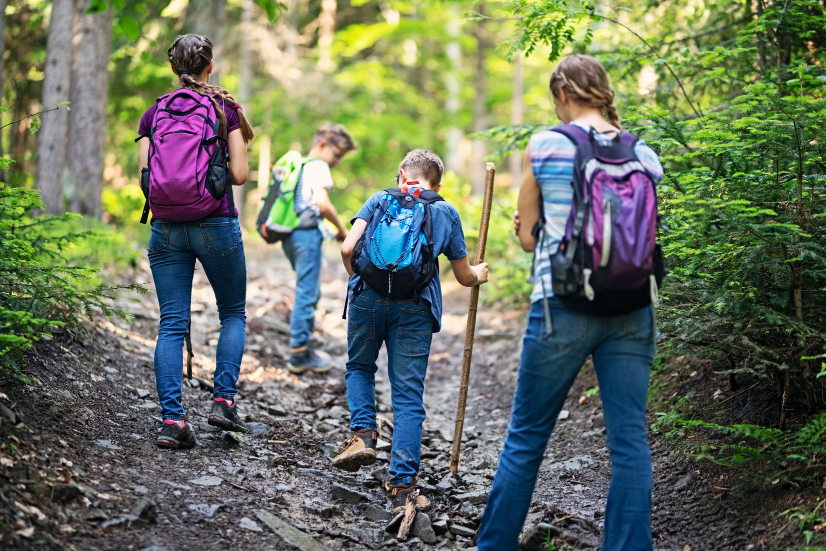 Hiking family hiking in forest