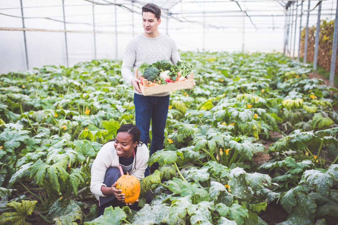 Grow Your Own Food